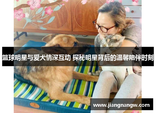 篮球明星与爱犬情深互动 探秘明星背后的温馨陪伴时刻